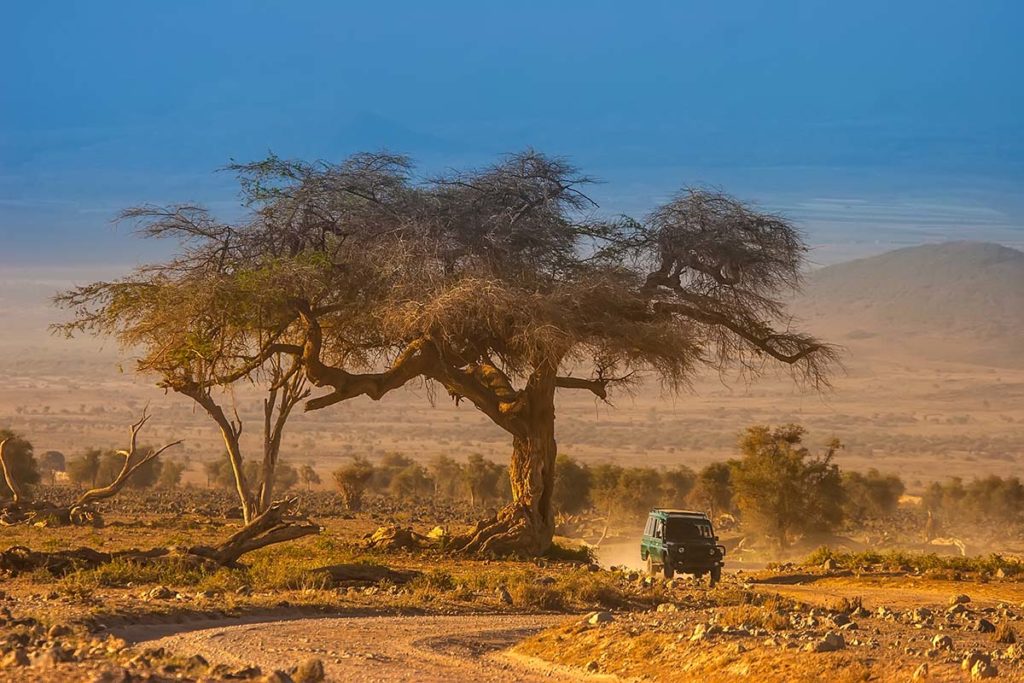Safaris for all. Image credit Fotogrin, Shutterstock. Travel Africa magazine