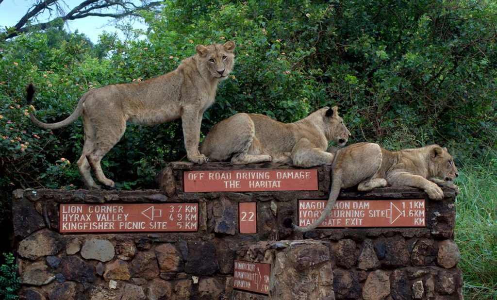 Nairobi National Park, image credit Ismail9999, Shutterstock | Travel Africa magazine
